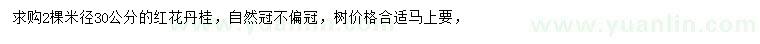 求購米徑30公分紅花丹桂