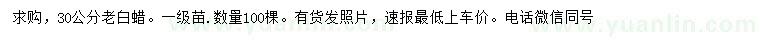 求購30公分老白蠟
