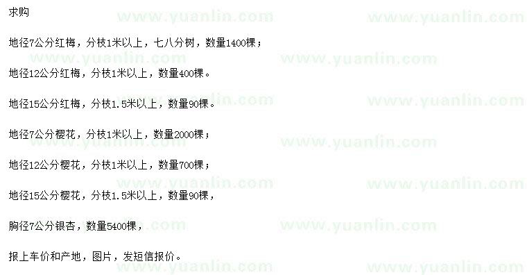 求購紅梅、櫻花、銀杏