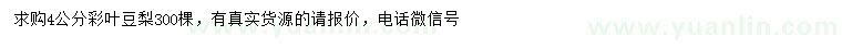 求購(gòu)4公分彩葉豆梨