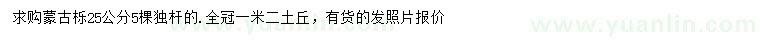 求購25公分蒙古櫟