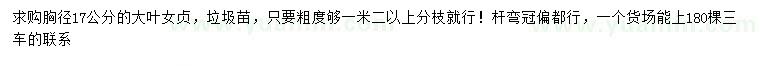 求購胸徑17公分大葉女貞