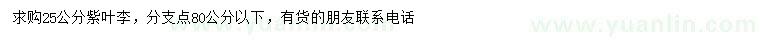 求購25公分紫葉李