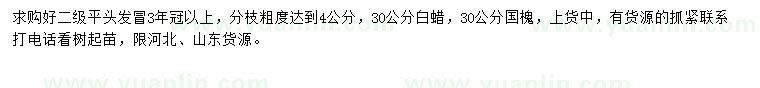 求購30公分白蠟、國槐