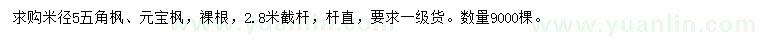 求購米徑5五角楓、元寶楓