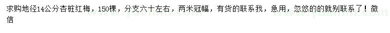求購(gòu)地徑14公分杏樁紅梅