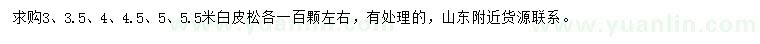 求購(gòu)3、3.5、4、4.5、5、5.5米白皮松