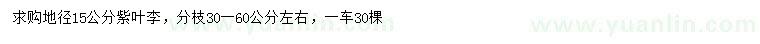 求購地徑15公分紫葉李