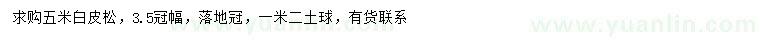 求購5米白皮松