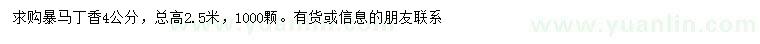 求購(gòu)4公分暴馬丁香