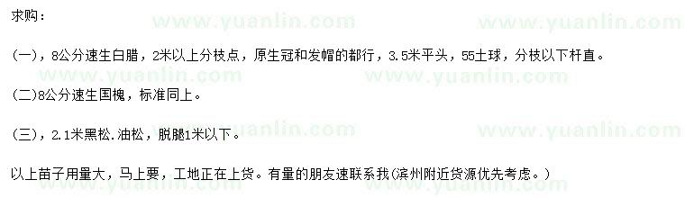 求購速生白蠟、國槐、黑松