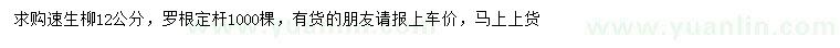 求購12公分速生柳