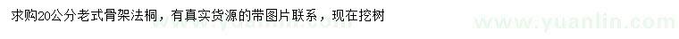 求購20公分老式法桐