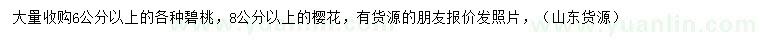 求購6公分以上碧桃、8公分以上櫻花