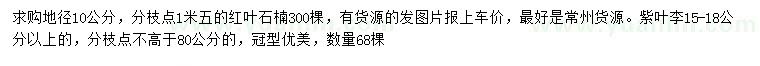求購(gòu)地徑10公分紅葉石楠、15-18公分以上紫葉李