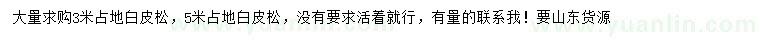 求購(gòu)3、5米白皮松