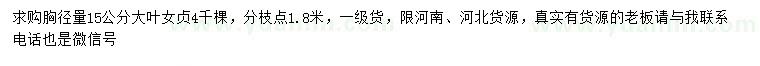 求購胸徑15公分大葉女貞