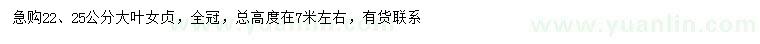 求購22、25公分大葉女貞