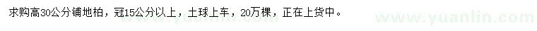 求購高30公分鋪地柏