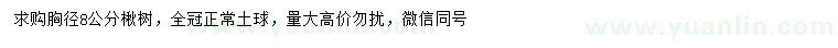 求購胸徑8公分楸樹