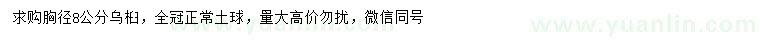 求購胸徑8公分烏桕