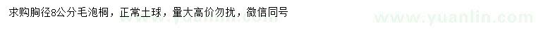 求購(gòu)胸徑8公分毛泡桐