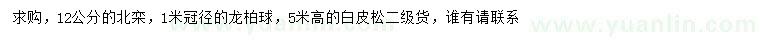 求購北欒、龍柏球、白皮松