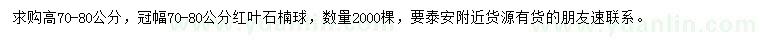 求購高70-80公分紅葉石楠球