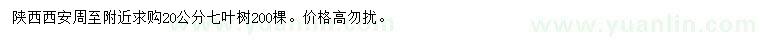 求購20公分七葉樹