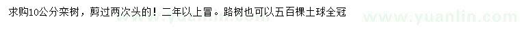 求購10公分欒樹(shù)