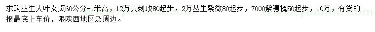 求購叢生大葉女貞、黃刺玫、叢生紫微等