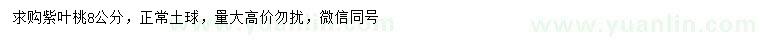 求購8公分紫葉桃