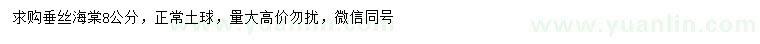 求購(gòu)8公分垂絲海棠