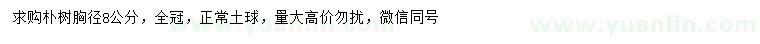 求購(gòu)胸徑8公分樸樹(shù)