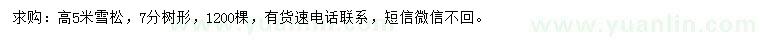 求購高5米雪松
