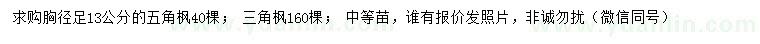 求購胸徑13公分五角楓、三角楓