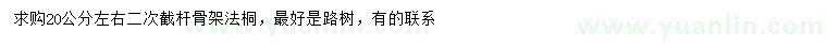 求購20公分左右法桐