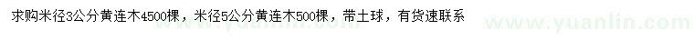 求購米徑3、5公分黃連木