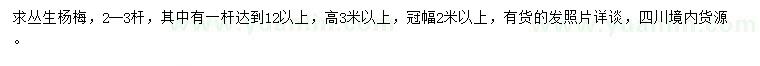 求購高3米以上叢生楊梅