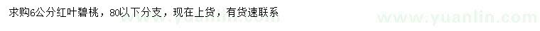 求購6公分紅葉碧桃