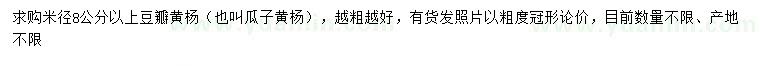 求購米徑8公分以上豆瓣黃楊