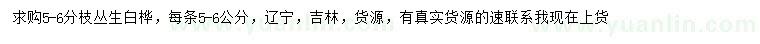 求購5-6分枝叢生白樺
