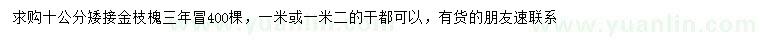 求購10公分金枝槐