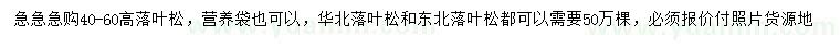 求購高40-60公分落葉松