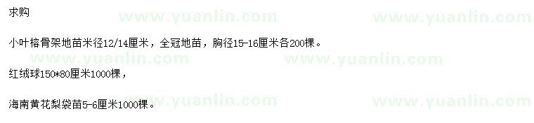 求購小葉榕、紅絨球、海南黃花梨