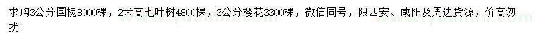 求購(gòu)國(guó)槐、七葉樹(shù)、櫻花