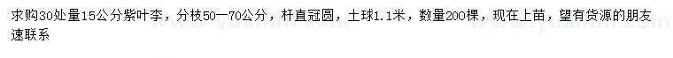求購30量15公分紫葉李