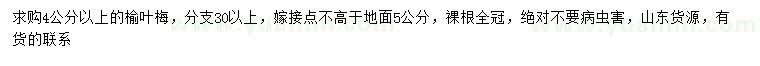 求購4公分以上榆葉梅