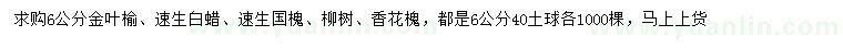求購金葉榆、速生白蠟、速生國槐等