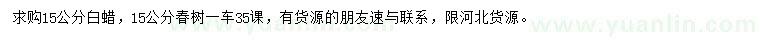 求購15公分白蠟、椿樹